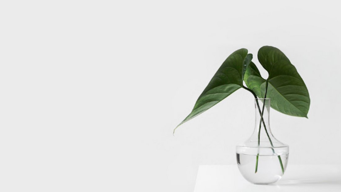 How To Live A Low-Plastic Life