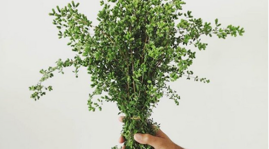 3 Foods that Promote Longevity & Prevent Disease